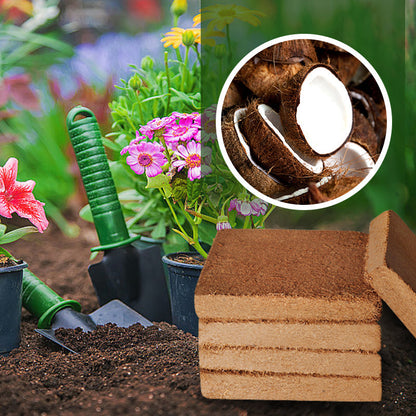 💥【3 buc】🌱🌱Výživná kokosová tehlová pôda