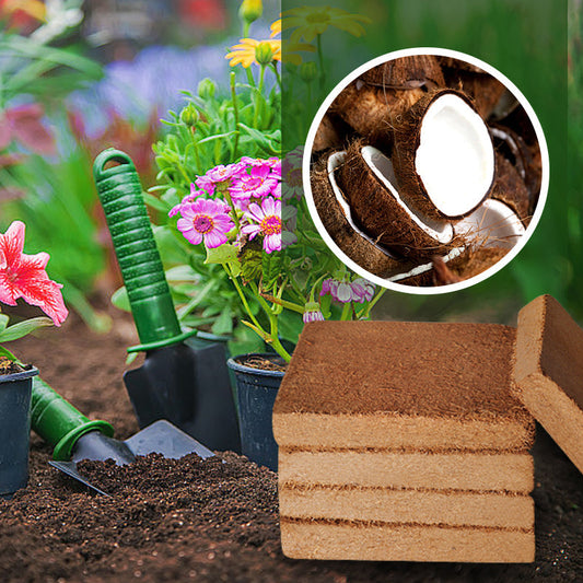 💥【3 buc】🌱🌱Výživná kokosová tehlová pôda